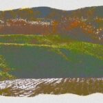 xtz0013 Rice field in November