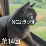 NOJIラジオ第14回　祈雨の8月